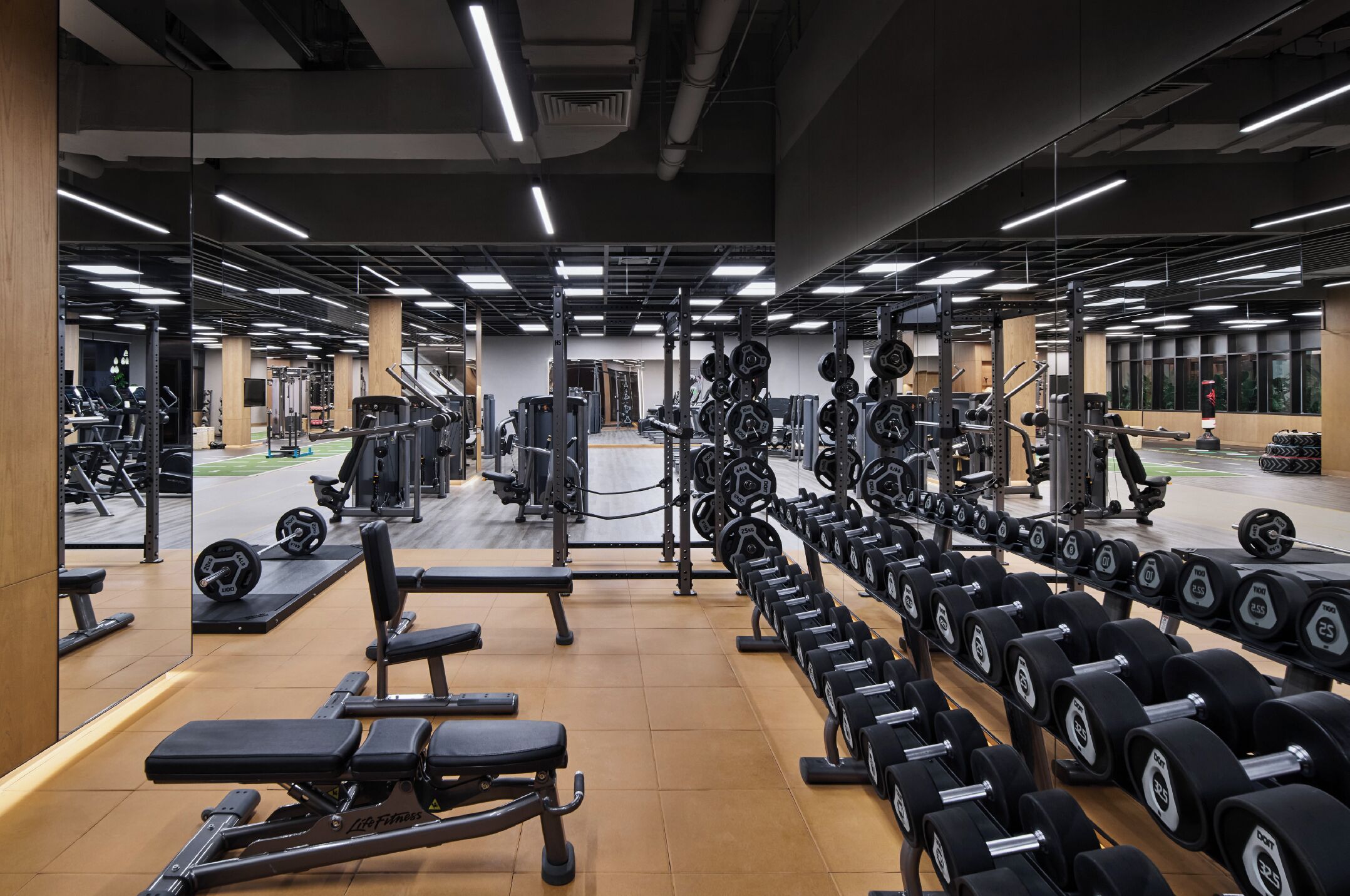 Gimnasio