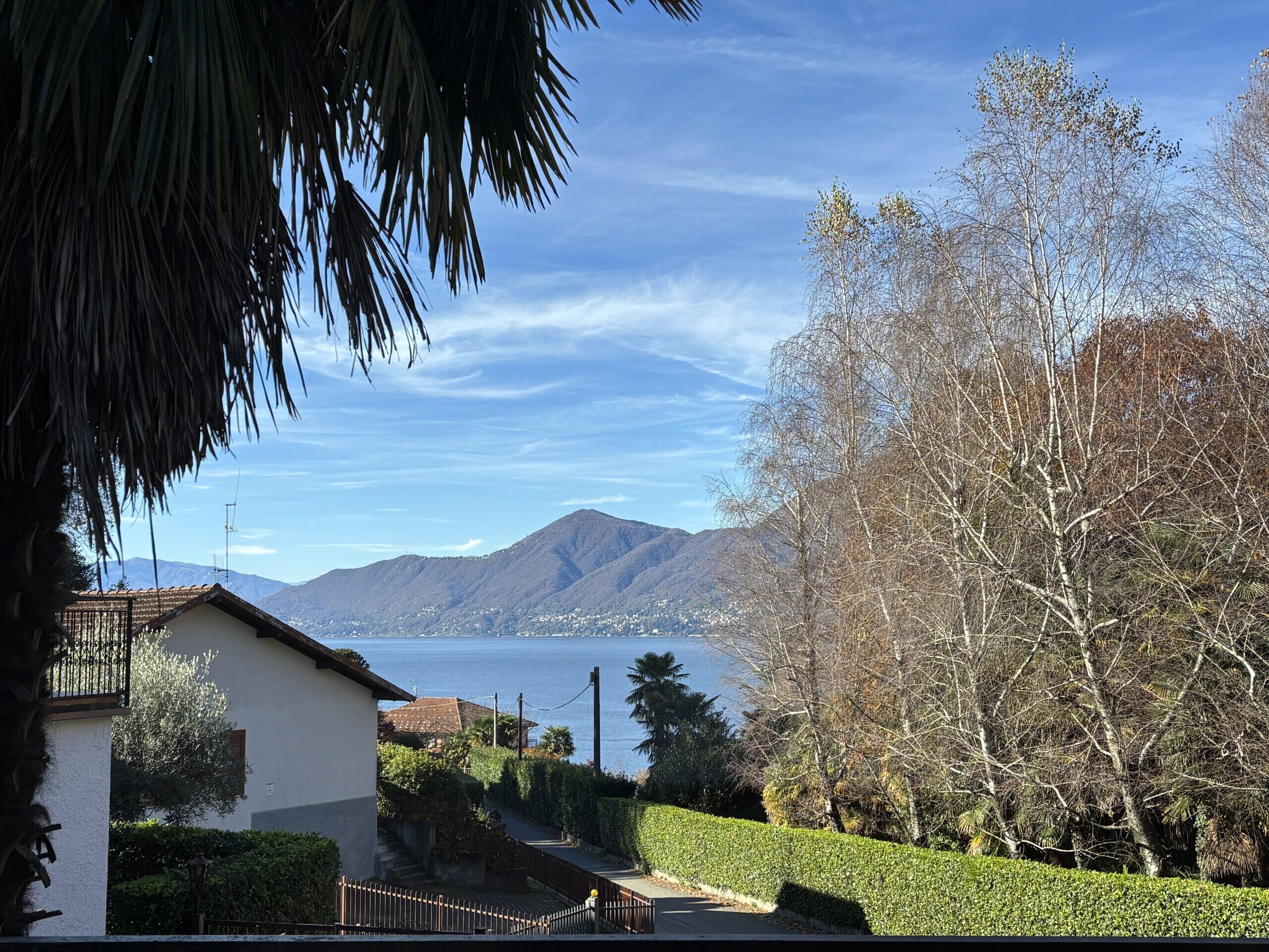 A residential area with a house, a well-maintained hedge, and a view of a lake with mountains in the background.