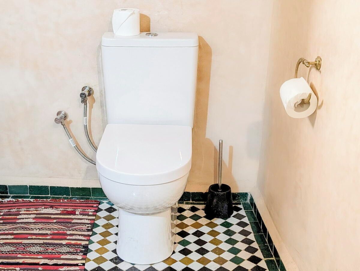 A toilet with a roll of toilet paper on the wall, a bidet attachment, and a patterned rug on the floor.