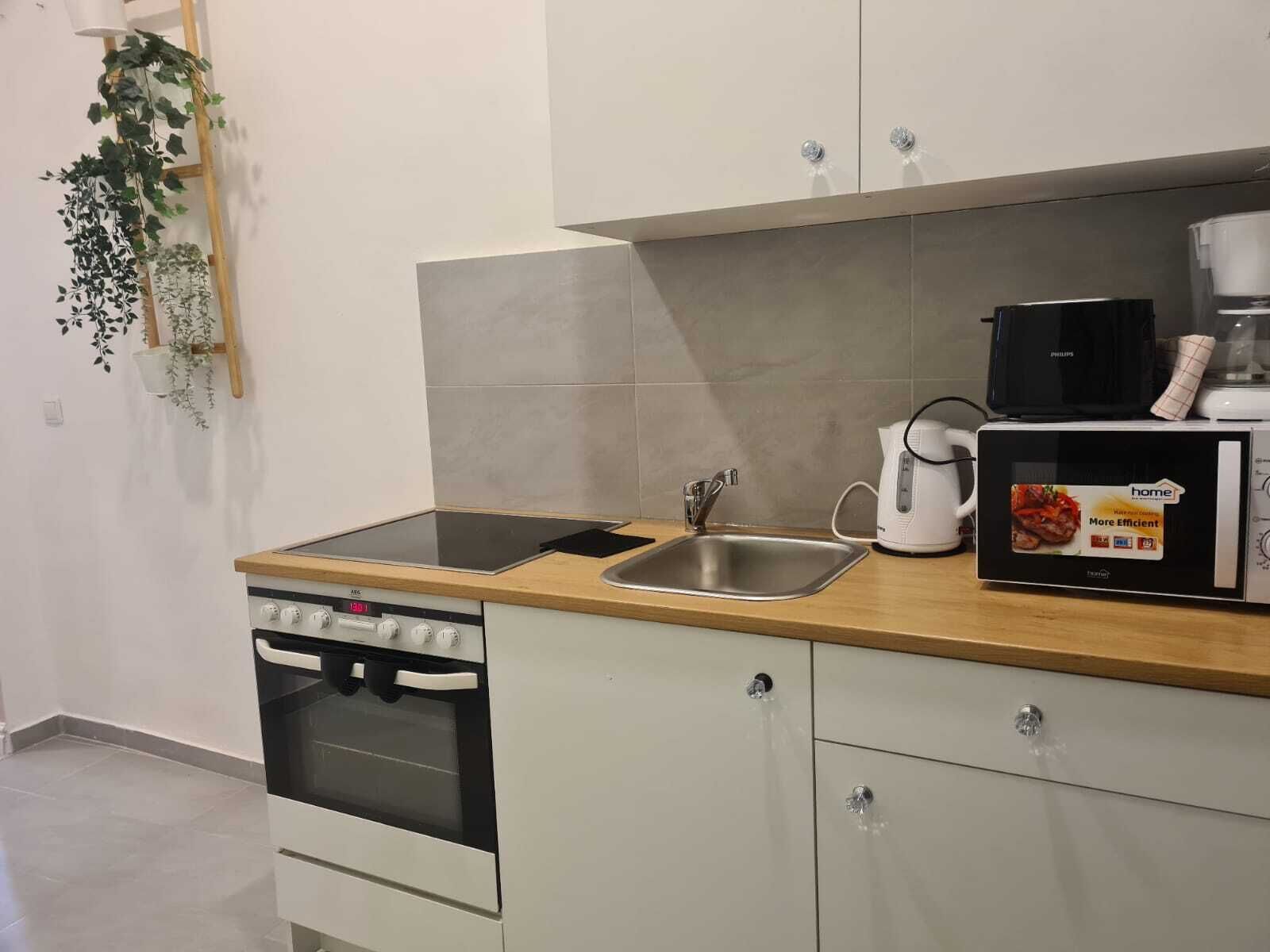 Apartament bàsic | Cuina privada | Frigorífic, microones, forn i placa de cuina 