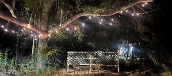 Near Historic Downtown Camden & Alabama River!  Fire Pit! Private Grill! 