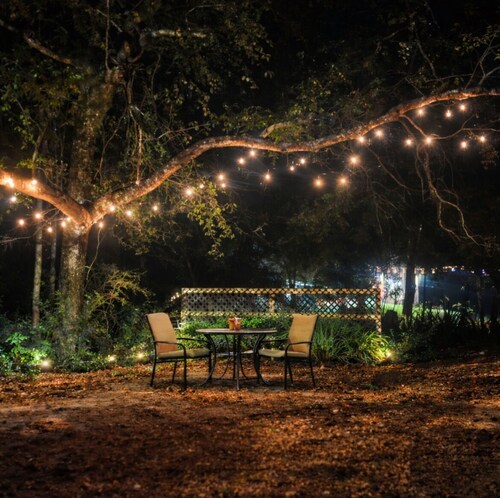 Near Hospital, Historic Downtown Camden & Alabama River!