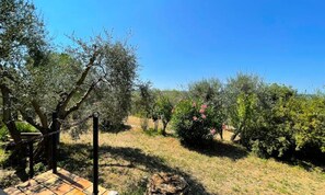 Property grounds - Houses & Villas for 6 People (Peymeinade)