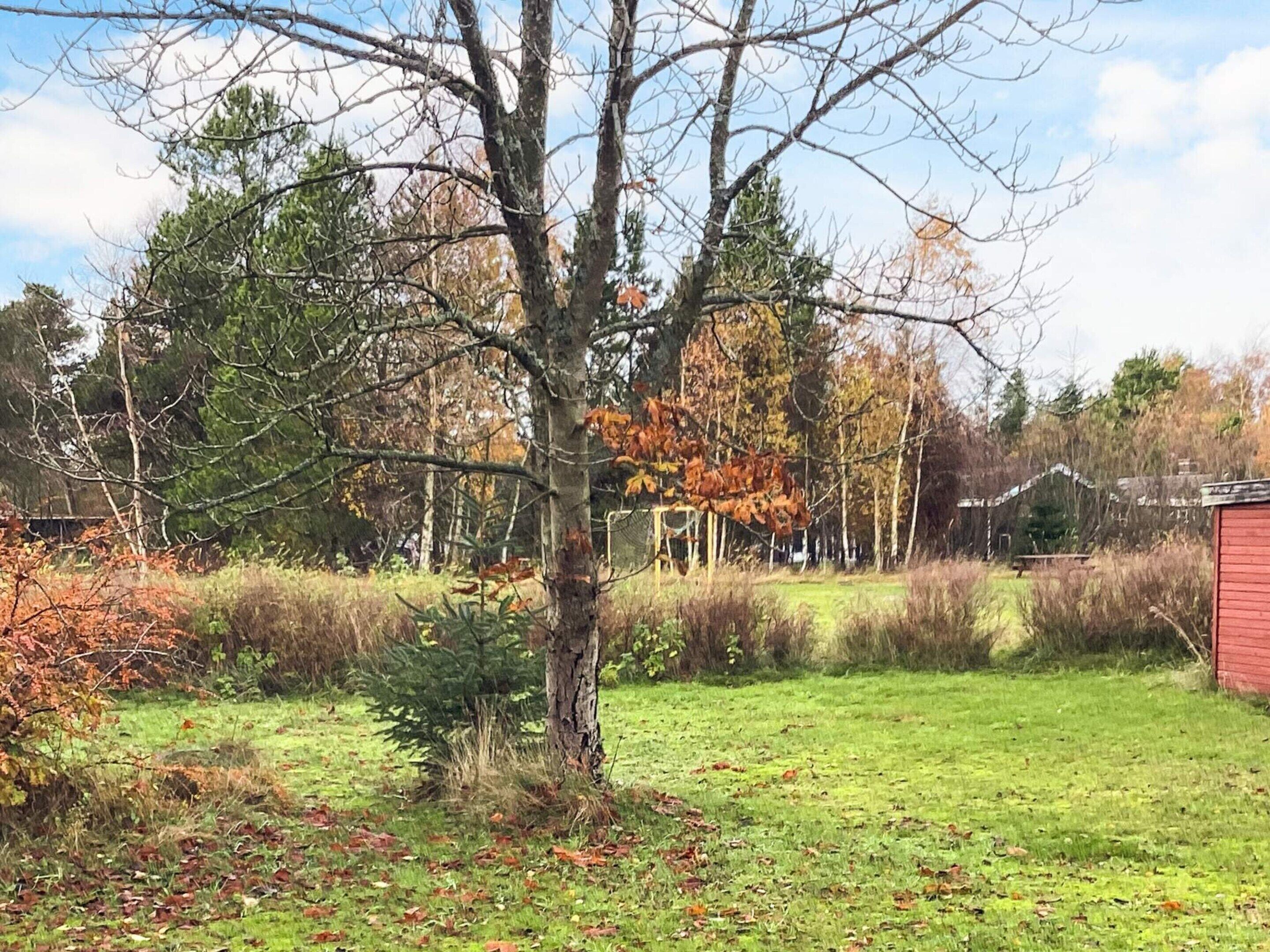 House | Property grounds