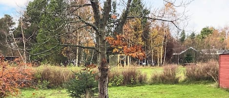 하우스 | 숙박 시설 구내