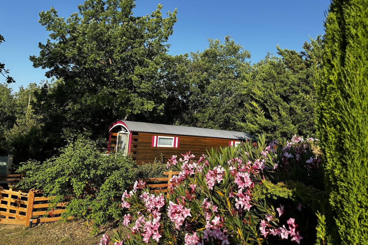 A small wooden cabin with a metal roof, surrounded by lush greenery and flowering plants.