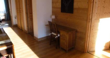 2 Large, Cozy Apartment ON THE Resort Heights