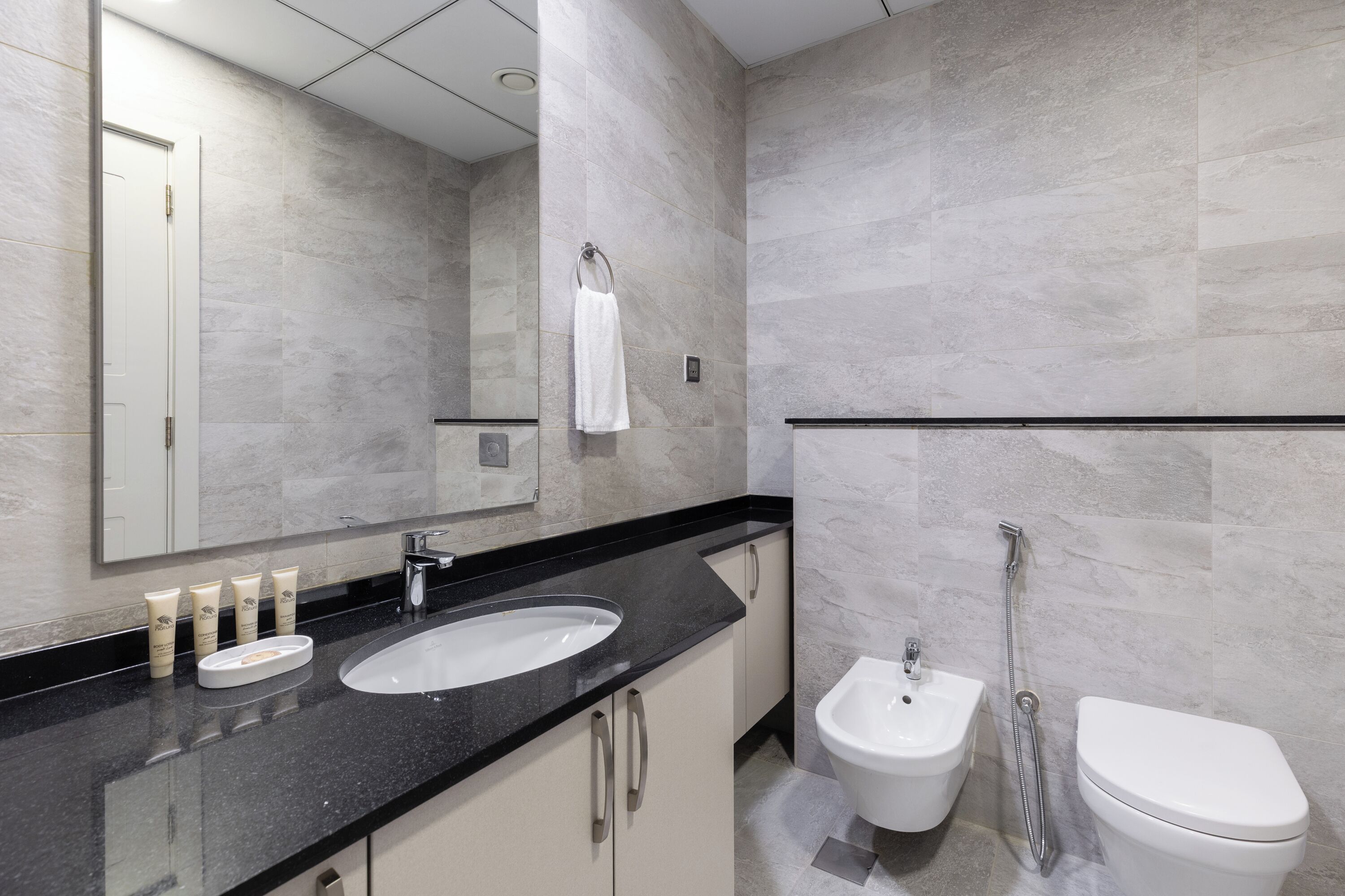 Een moderne badkamer met een groot wastafel, spiegel en een toiletglijding.