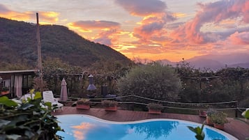Seasonal outdoor pool, pool umbrellas, sun loungers