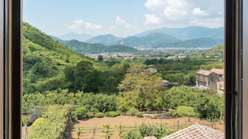 Land view from property