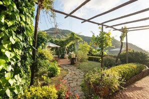 Vista desde la propiedad