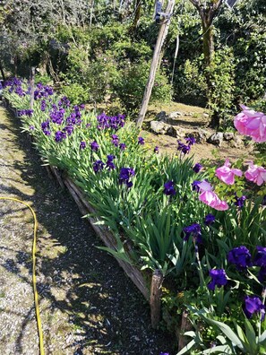 Exterior - BARONE ANTONIO NEGRI FARMHOUSE (Fisciano)