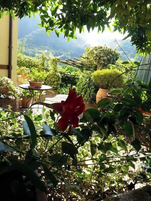 Exterior - BARONE ANTONIO NEGRI FARMHOUSE (Fisciano)