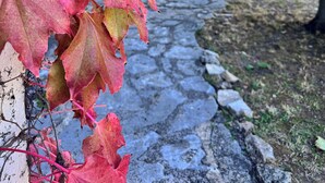 A stone pathway leading to a building with a window. - Beautiful French Riviera Provençal Family Villa with Pool (Châteauneuf-Grasse)