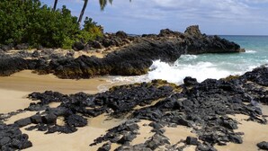 Ein felsiger Strand mit Palmen und Meereswellen.