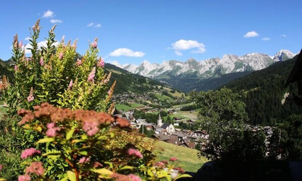 Miscellaneous - Studio for 3 People (Le Grand-Bornand)