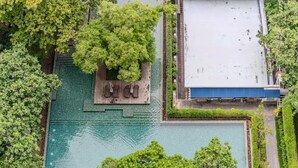 Vista aérea de una piscina en la azotea rodeada de exuberante vegetación, con una terraza de madera y un edificio con techo azul al fondo.