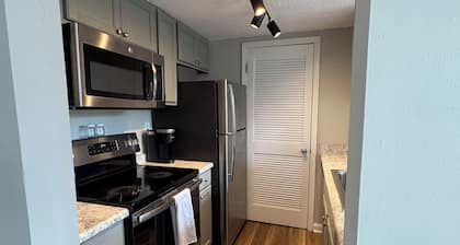 Renovated 1 BR, 1 BA in the Heart of USC Campus