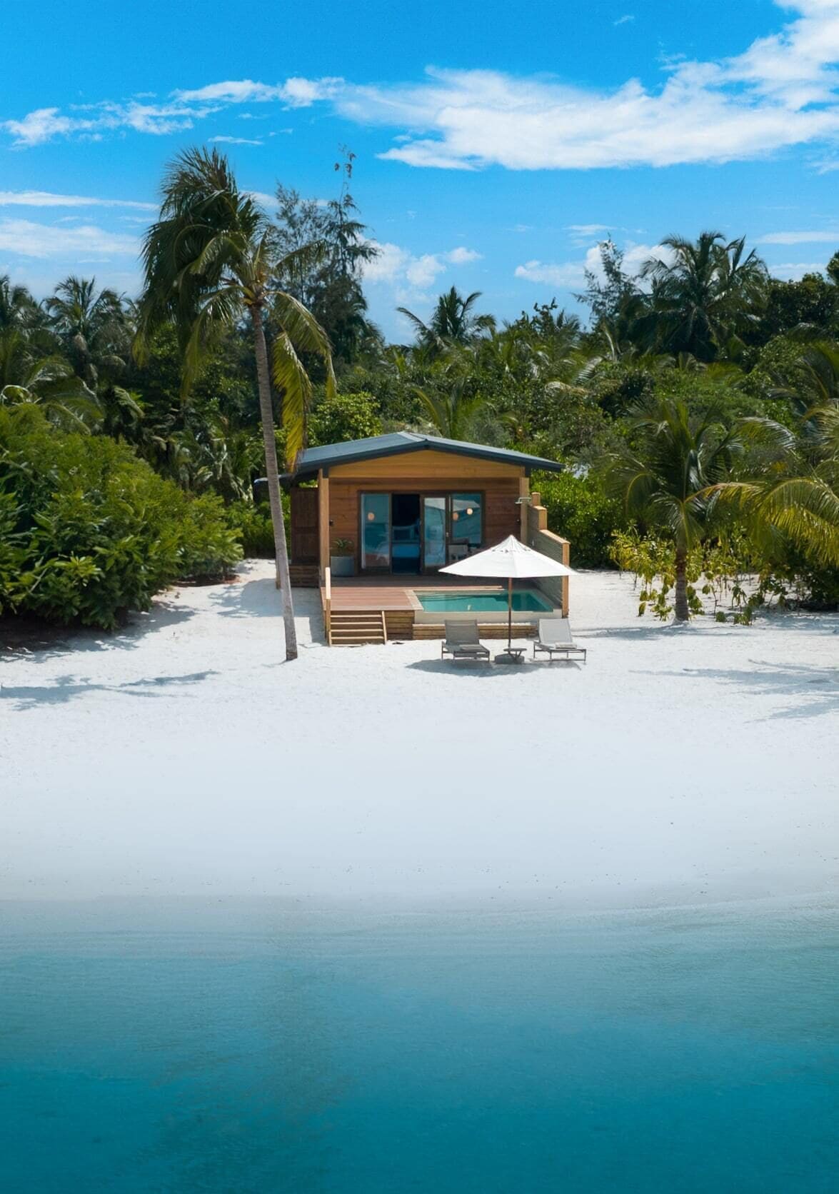 A wooden beach house with a pool, surrounded by palm trees and a clear blue sky.