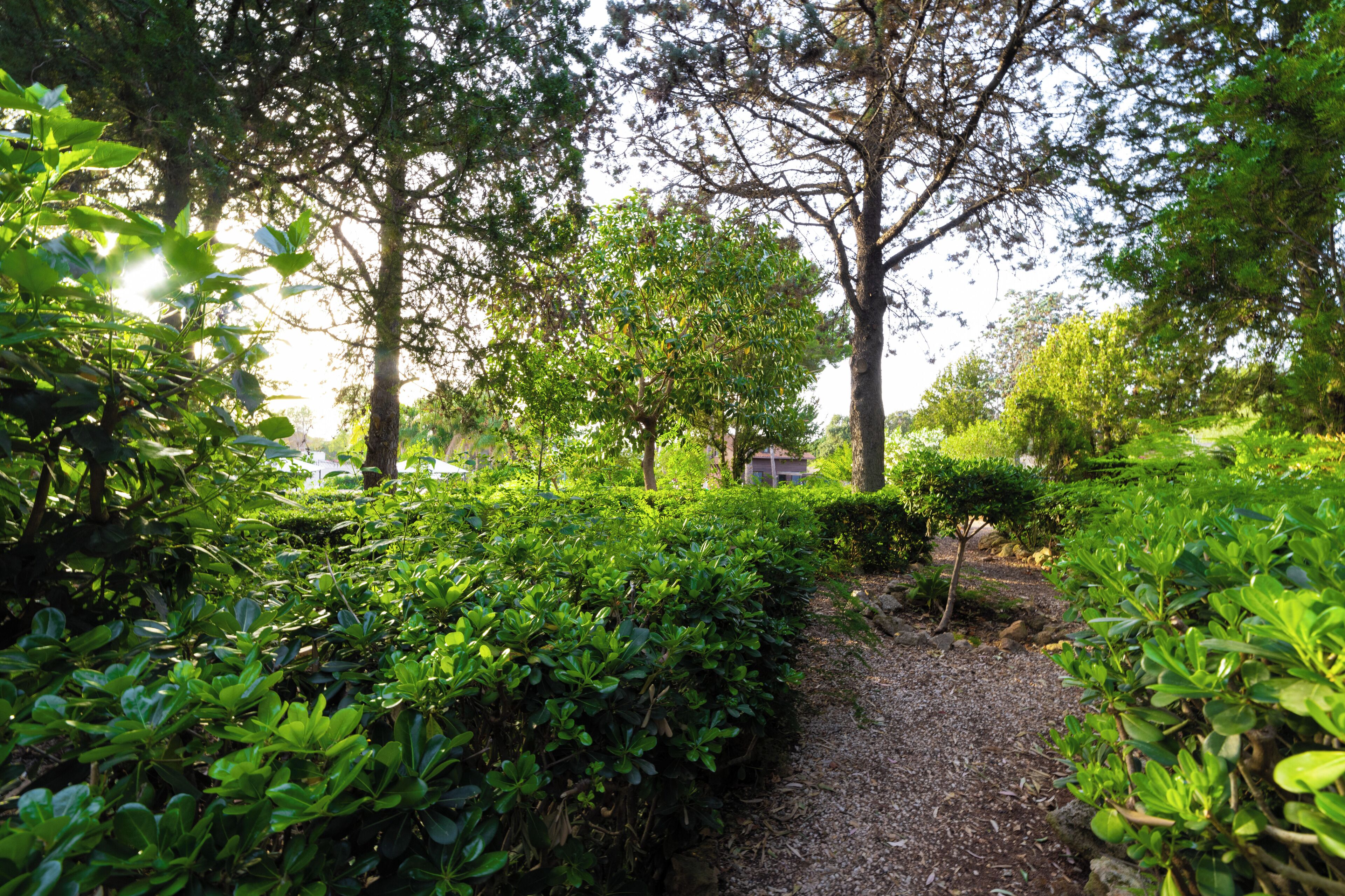 Parco della struttura