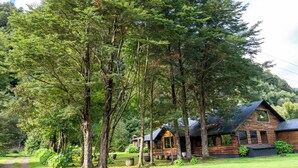 Une cabane entourée de grands arbres, située dans une zone boisée.