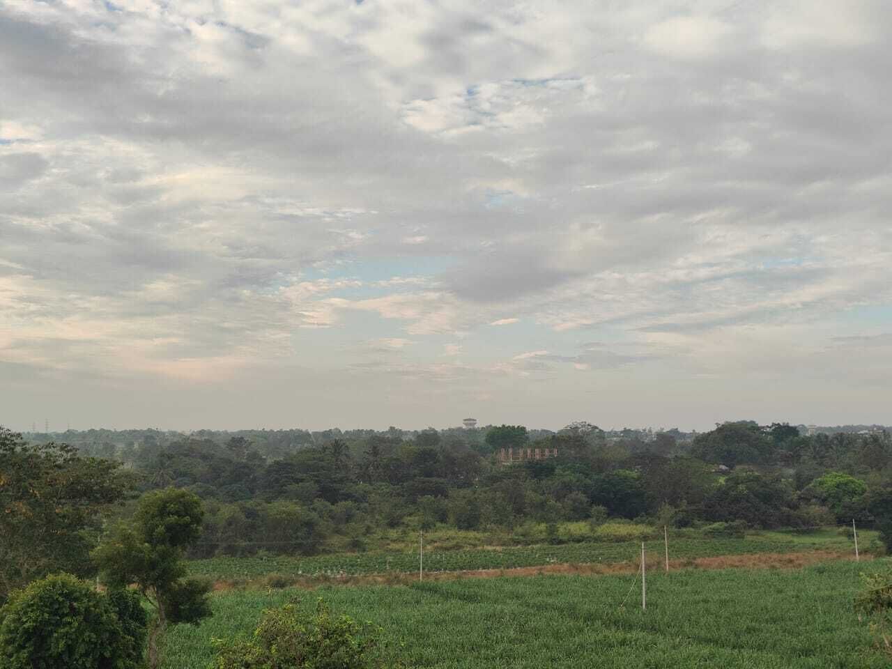 A rural landscape with a field, trees, and a distant building.