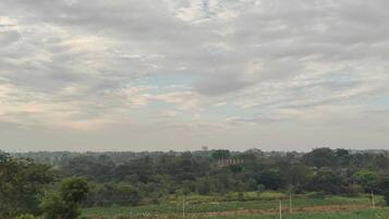 A rural landscape with a field, trees, and a distant building.