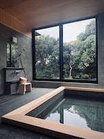 Aguas termales