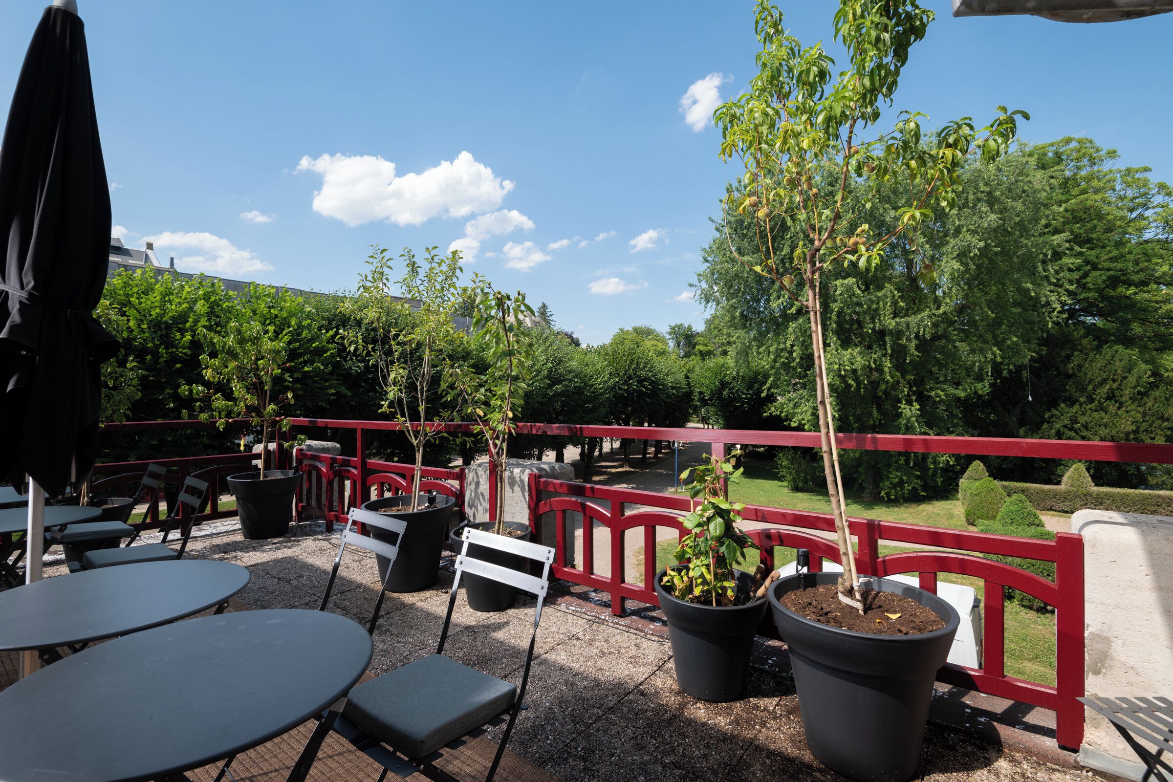 Superior tweepersoonskamer, uitzicht op tuin | Terras