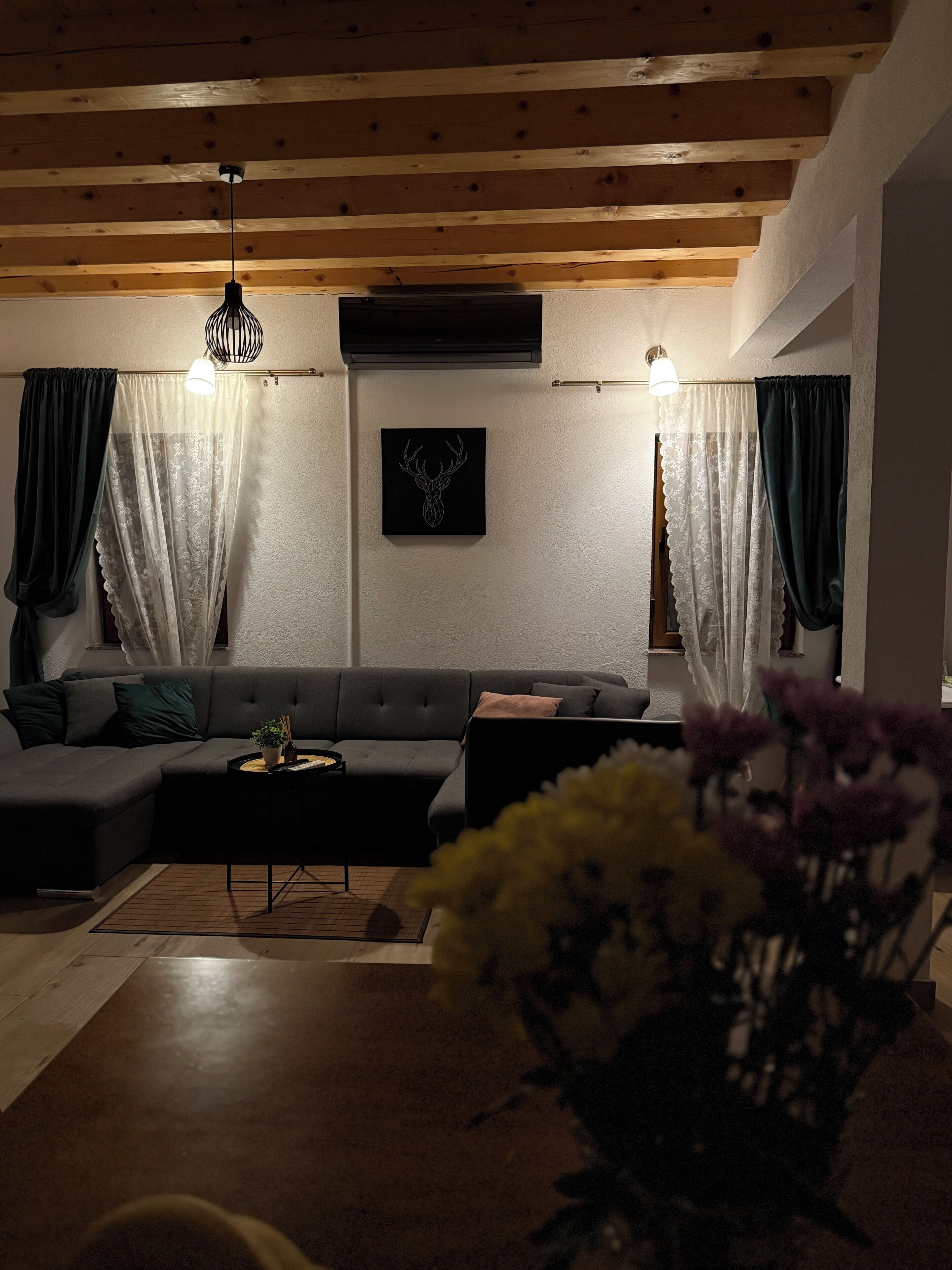 智能電視、壁爐、電子遊戲