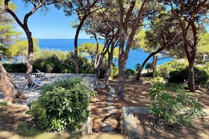 Property grounds - Villa Star Elba Island with sea view (Porto Azzurro)