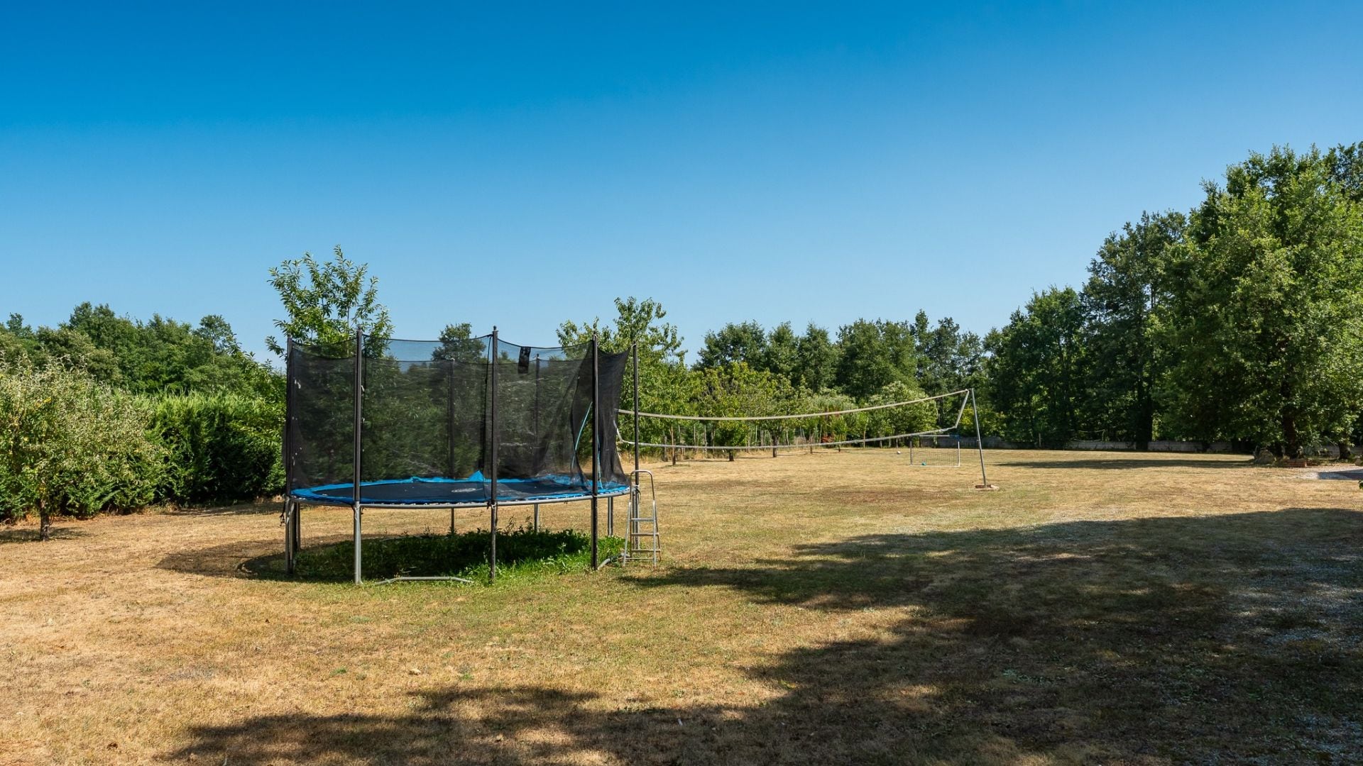 A trampoline in a grassy outdoor area with trees in the background.