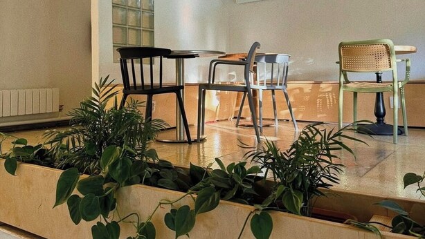 A modern kitchen with a dining area, featuring a large window, a built-in planter with greenery, and a mix of modern and classic chairs. - Urban Yurt (Almaty)