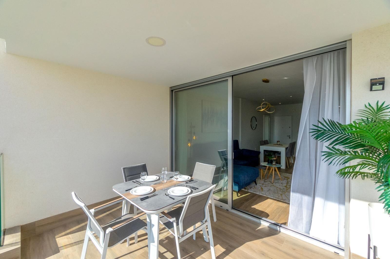 A dining area with a table set for four, a sliding glass door leading to a living space, and a potted plant on the right.