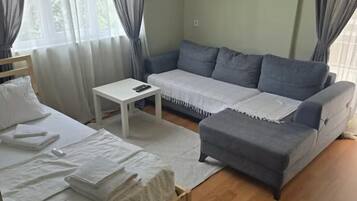 Lejlighed - ikke-ryger - balkon | Arbejdsområde til bærbare computere, lydisolering, gratis Wi-Fi