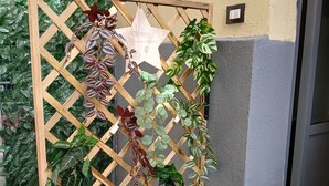 A wooden lattice partition with various plants, including a star-shaped decoration, in an indoor setting. - Metro Hause (Napoli)