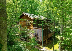 Une cabane entourée d’une forêt dense, dotée d’une terrasse en bois et d’un petit porche.