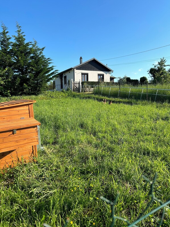 المنطقة المحيطة بالمنشأة