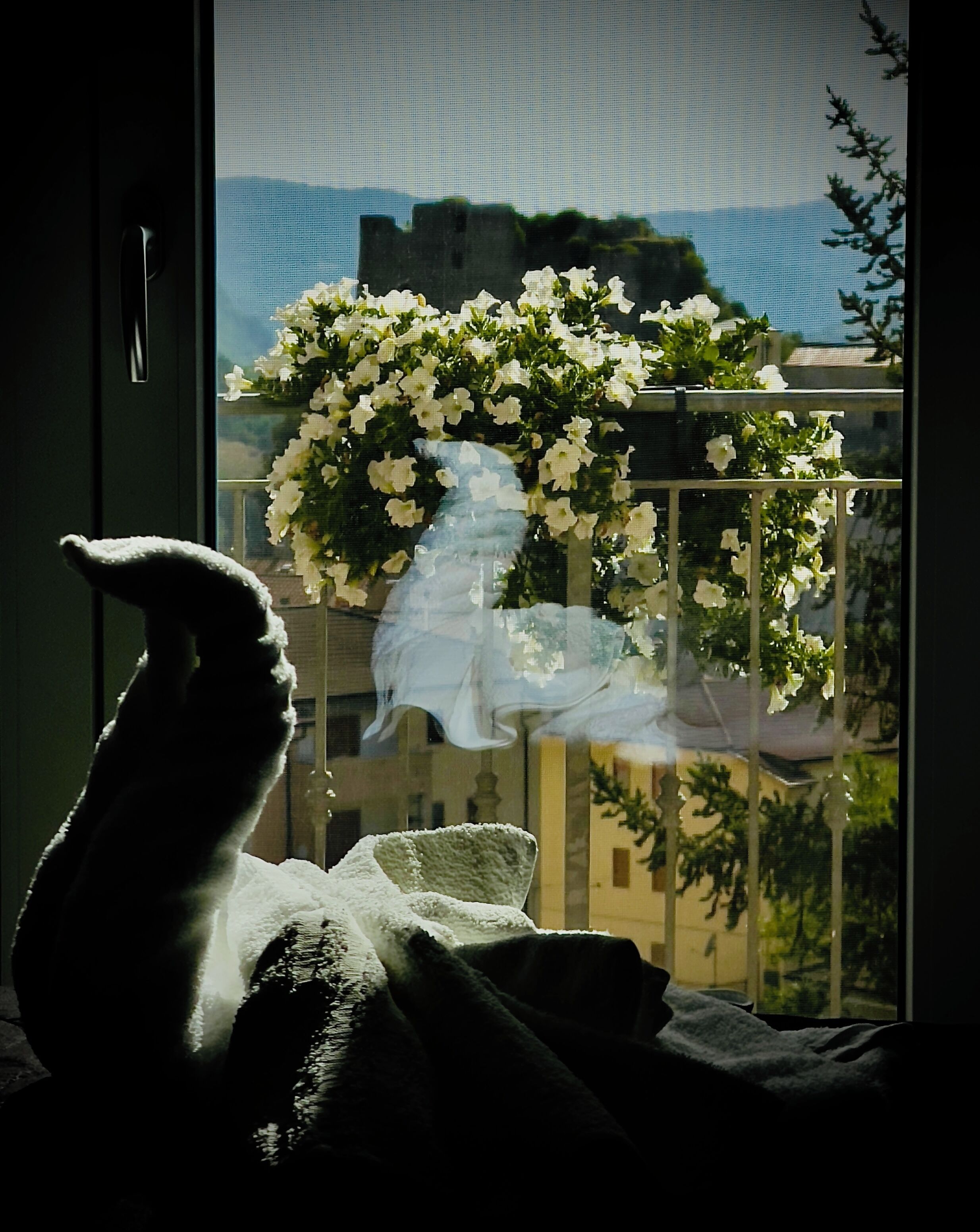 Family Quadruple Room, Balcony, Mountain View | Desk, iron/ironing board, free WiFi