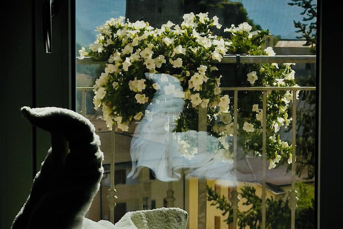 A window with a view of a balcony, a white towel, and a white cloth.