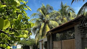A paved driveway leading to a gated area with palm trees and a building with a brick facade. - Rancho Tortuga Fuertevali (Acajutla)