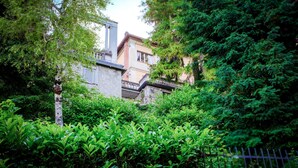 A lush garden with dense foliage and a building with a balcony. - Villa Scurati (Brunate)