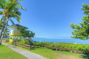 Property grounds - Kamaole Nalu 201 - Updated bright 2 bedroom ocean front (Kihei)