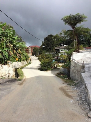 Exterior - Eight Mentigi Guest House (Tanah Rata)