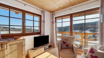 Télévision, table de tennis de table, chaîne hi-fi