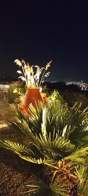 Property grounds - Cozy, family-friendly apartment with a view! (Skiathos)