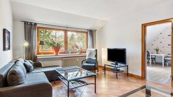 Télévision, cheminée, chaßne hi-fi