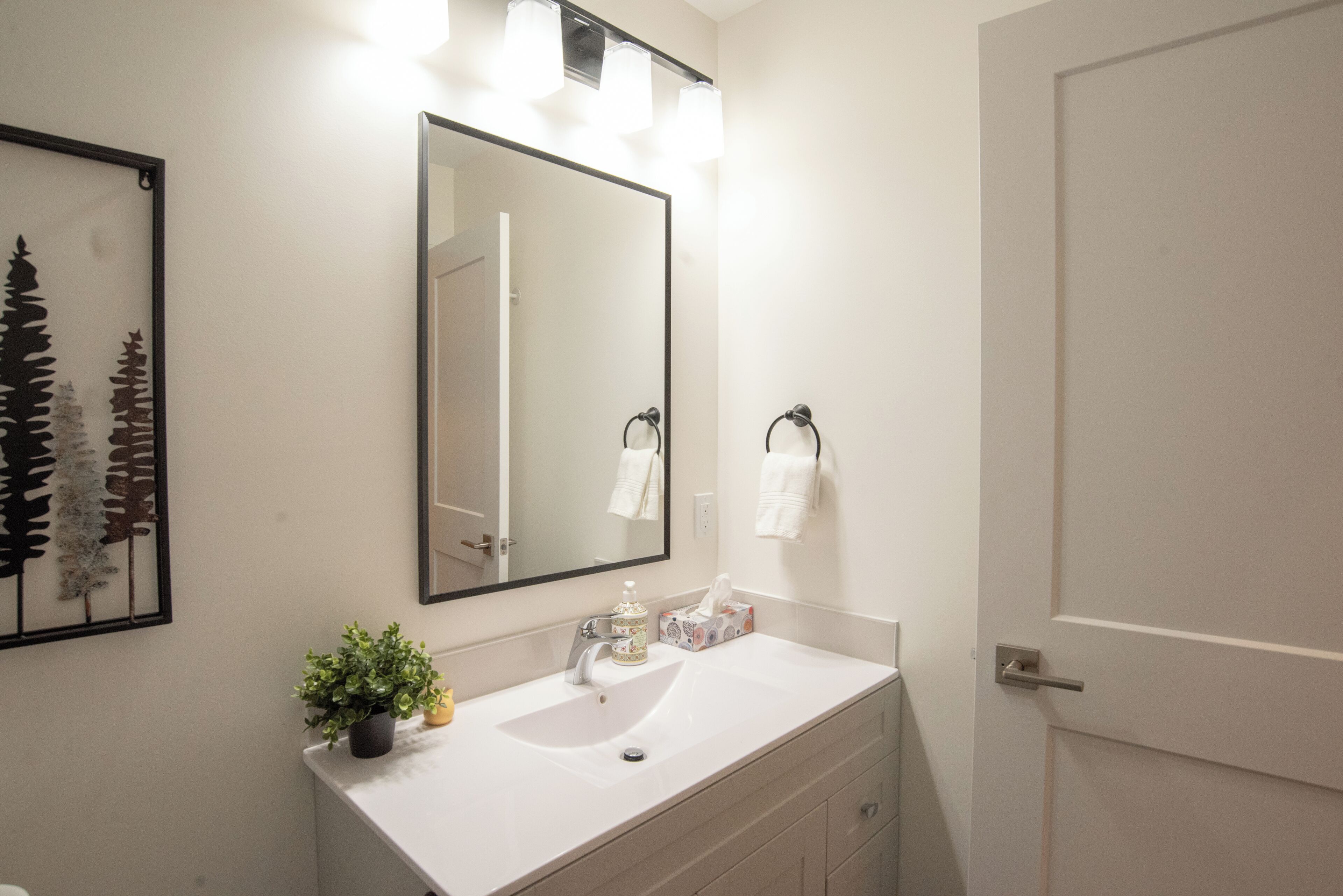 淋浴设施、吹风机、毛巾、肥皂