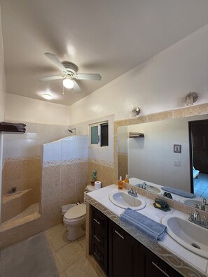 Shower, towels, soap, toilet paper