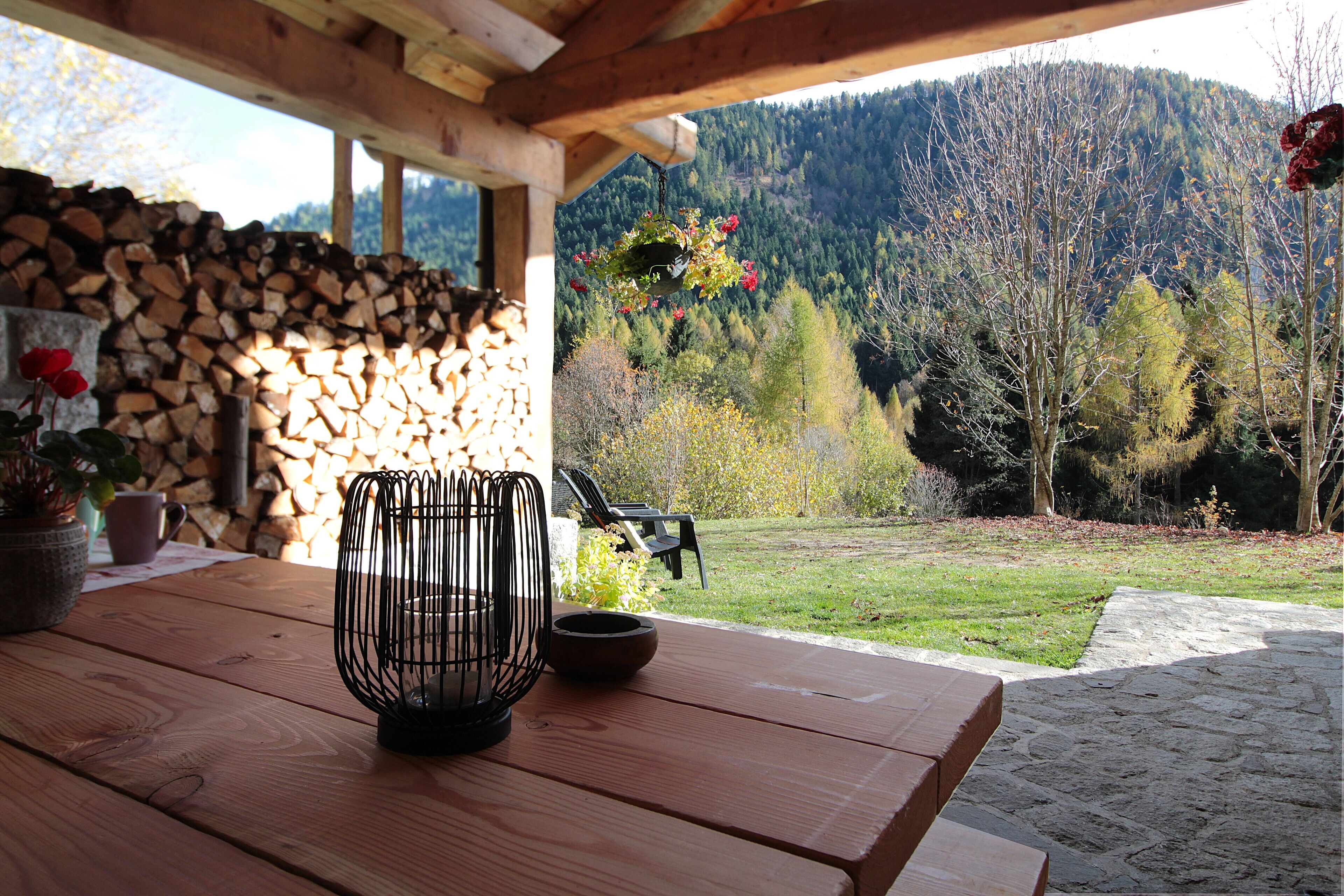 Cabane, vue montagne | Terrasse/Patio